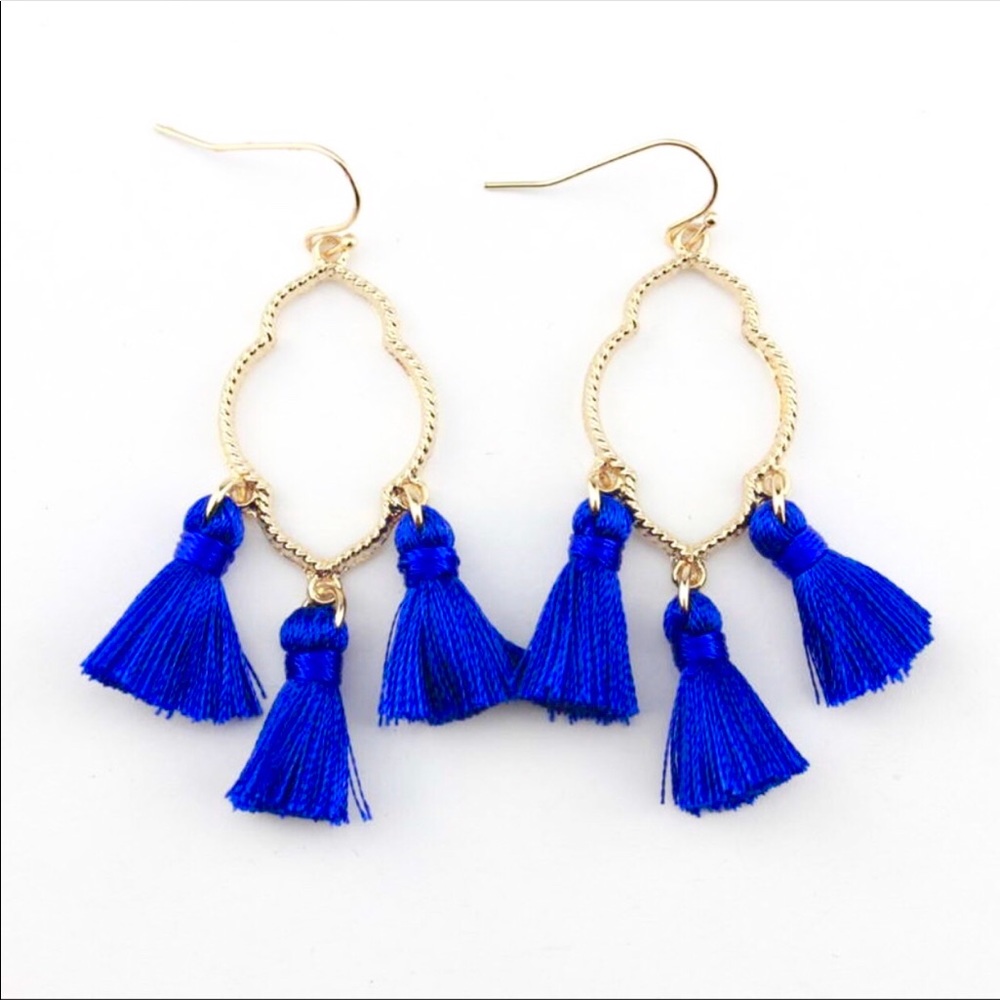 Tassel Hoop Earrings - Picture 1 of 4